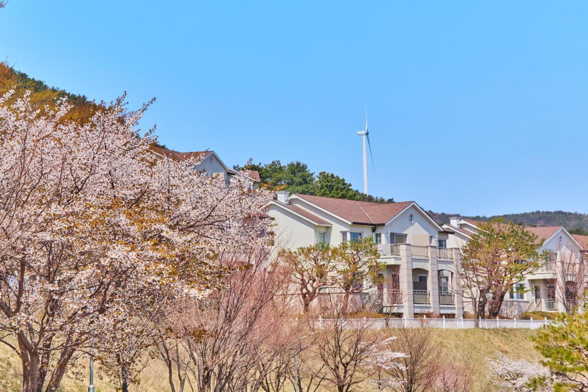 Gyeongju Mauna Ocean Resort Bagian luar foto