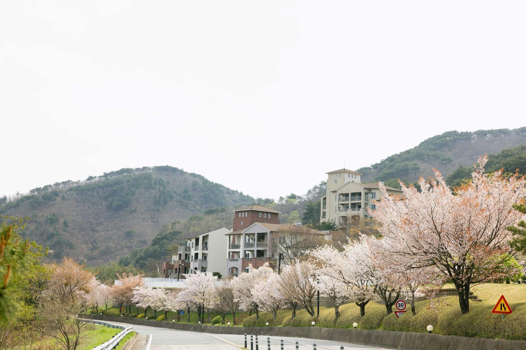 Gyeongju Mauna Ocean Resort Bagian luar foto