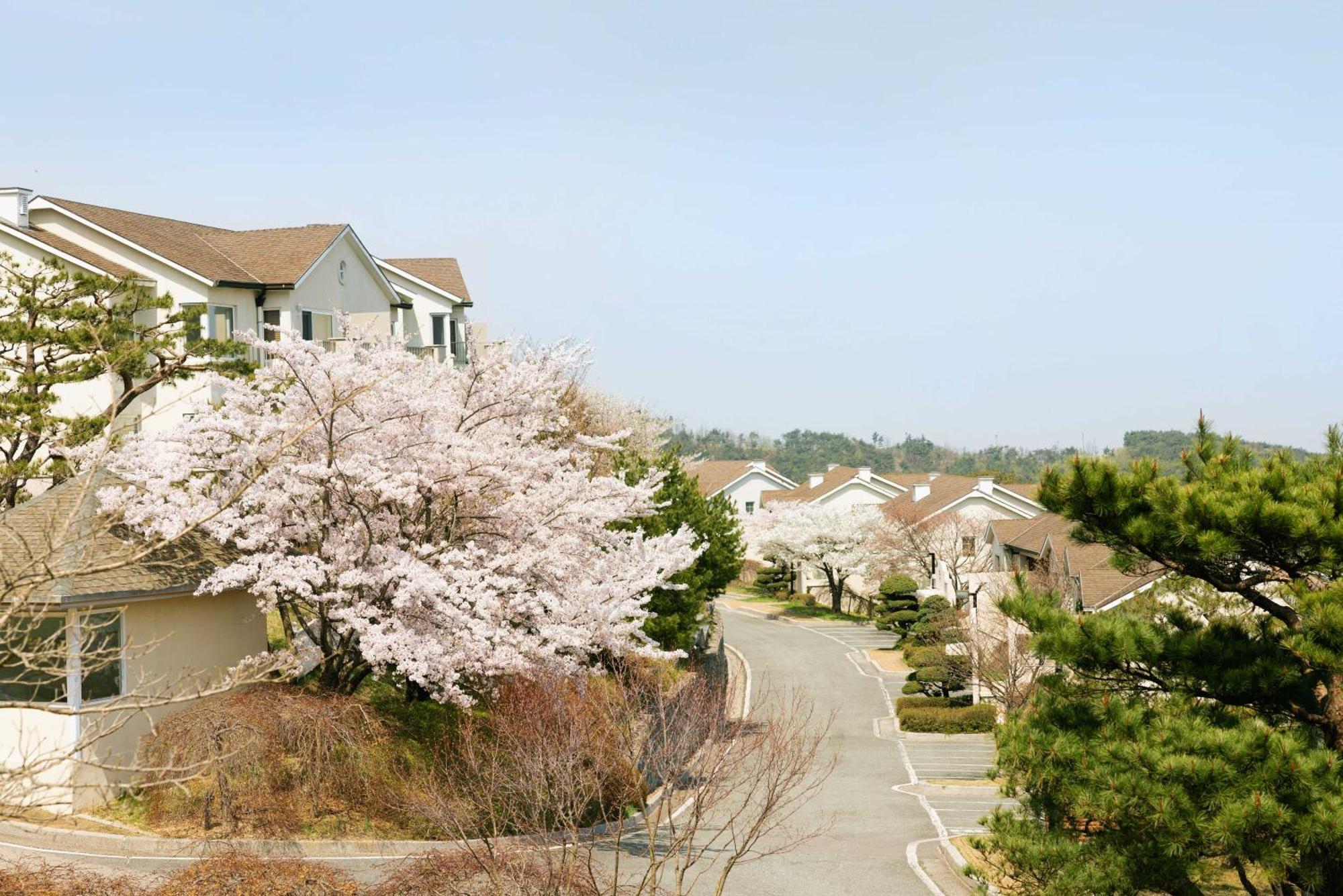 Gyeongju Mauna Ocean Resort Bagian luar foto