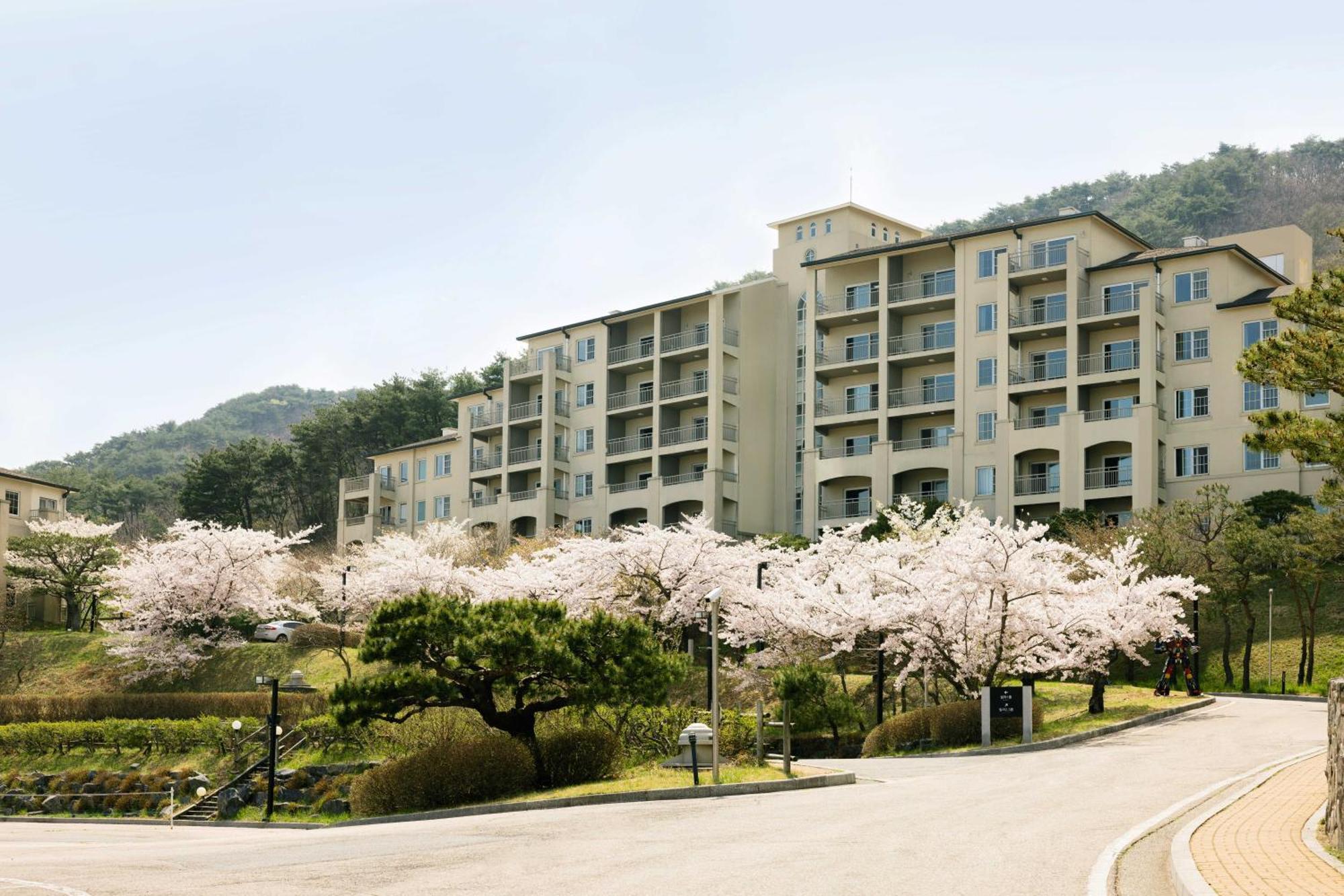 Gyeongju Mauna Ocean Resort Bagian luar foto