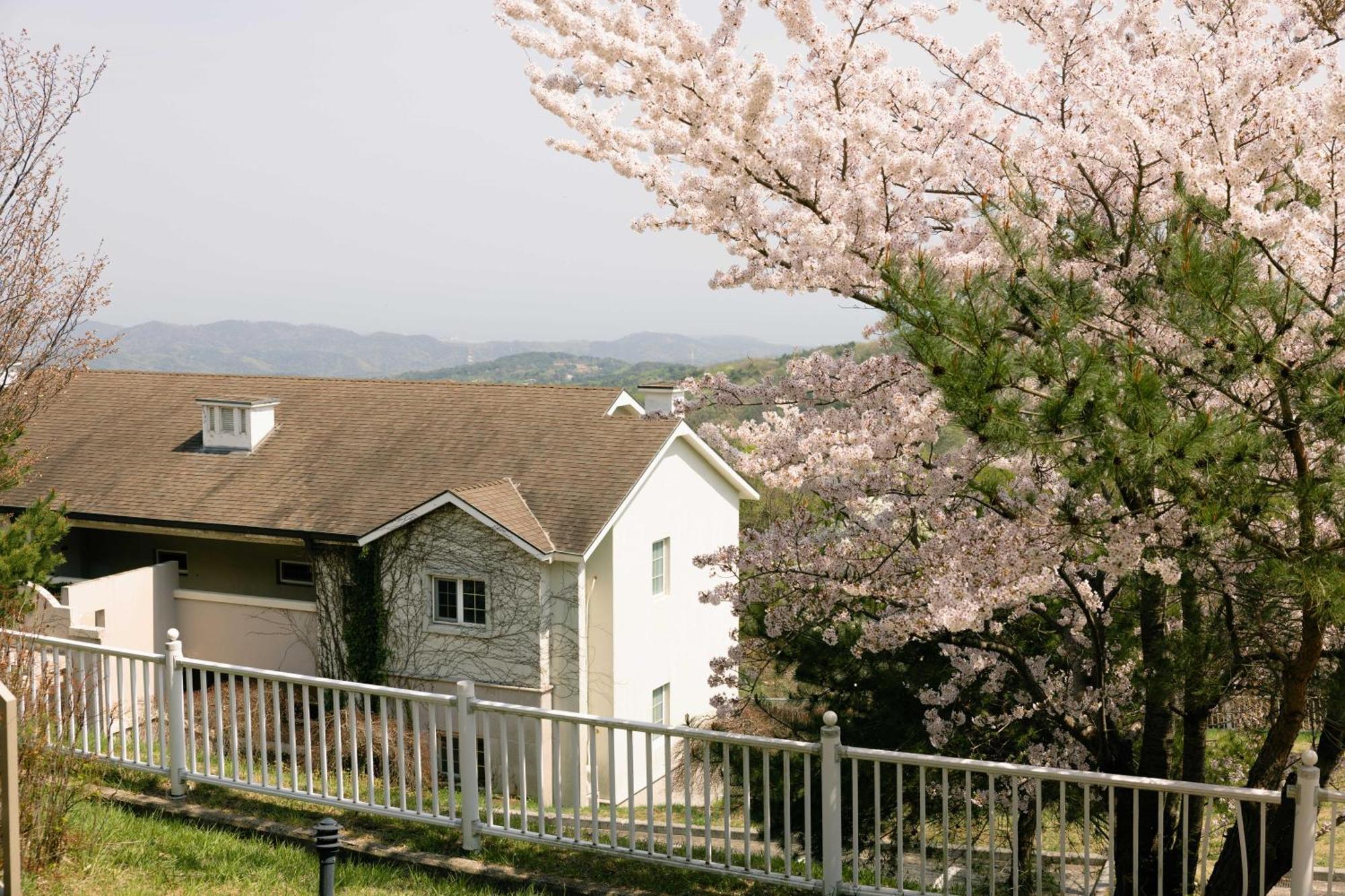 Gyeongju Mauna Ocean Resort Bagian luar foto